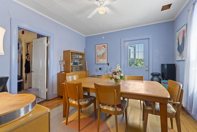 dining area with ceiling fan, crown molding, and light hardwood / wood-style floors