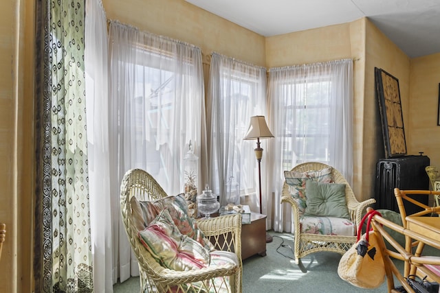 sitting room featuring carpet floors and radiator