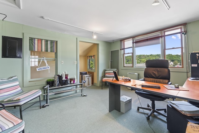 home office featuring carpet, electric panel, and track lighting