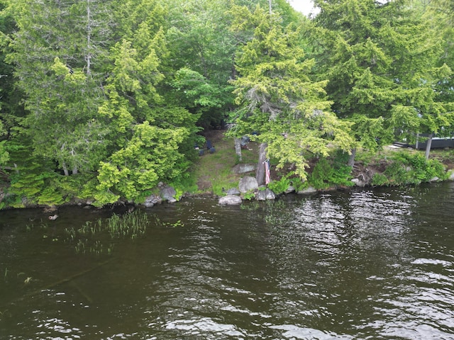 view of water feature