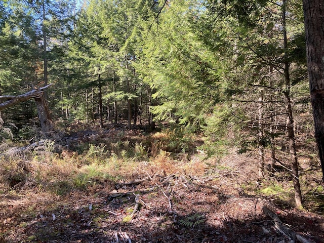 Address Not Disclosed, Topsham ME, 04086 land for sale