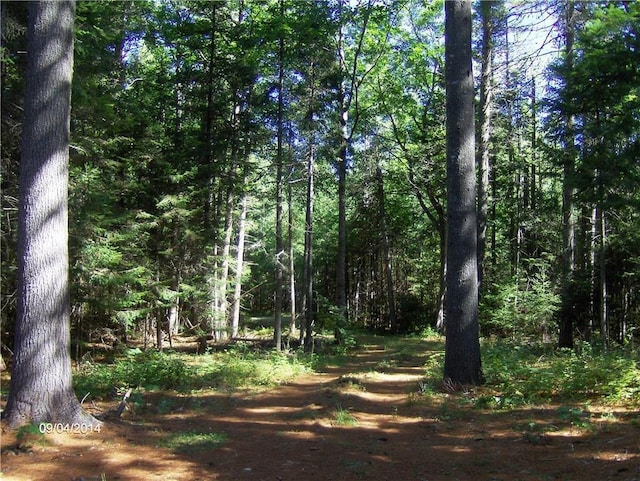 view of local wilderness