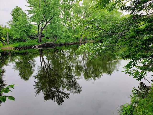 view of water feature