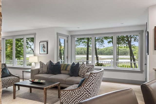 living room with light hardwood / wood-style floors