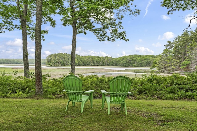 view of yard featuring a water view