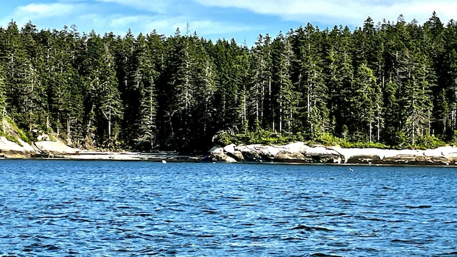 677 Friendship Long Is, Friendship, ME 04547 - water view