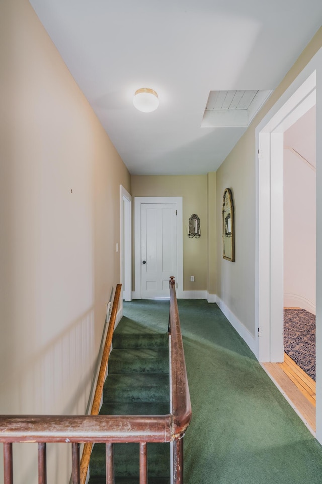 hallway with carpet floors