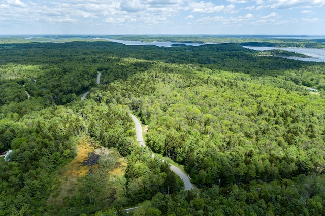 drone / aerial view with a water view and a view of trees