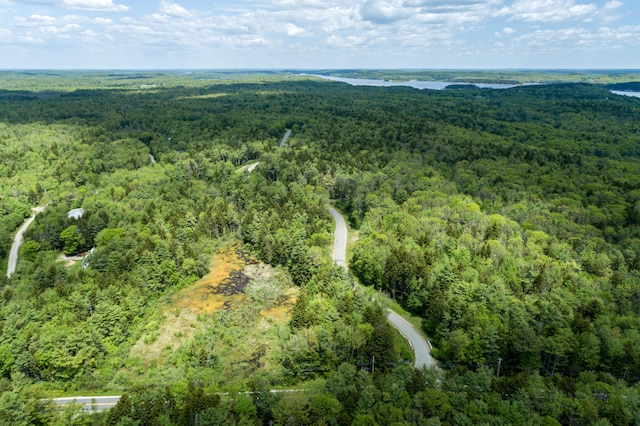 bird's eye view with a view of trees