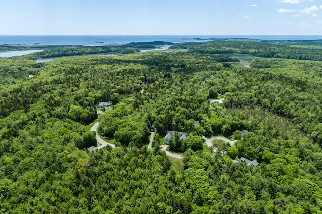 drone / aerial view with a forest view and a water view