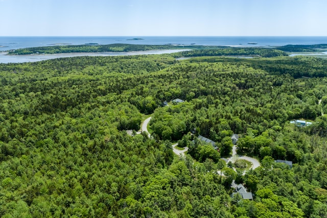 birds eye view of property with a water view and a wooded view