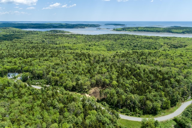 bird's eye view with a water view and a wooded view