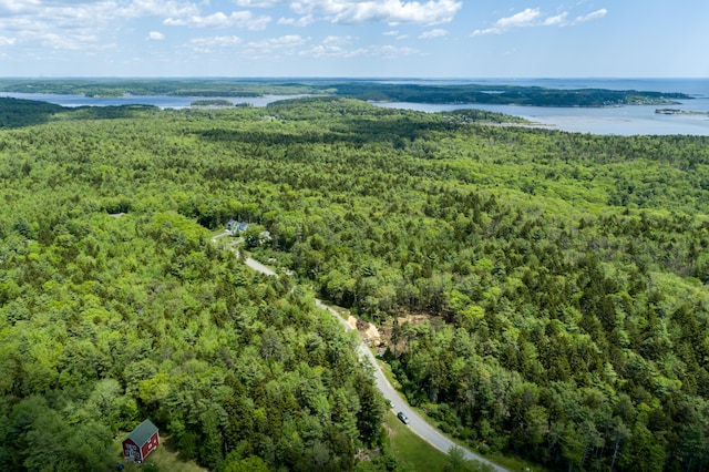 drone / aerial view with a water view and a view of trees