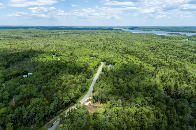 aerial view featuring a water view and a wooded view