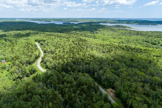 drone / aerial view featuring a water view and a forest view