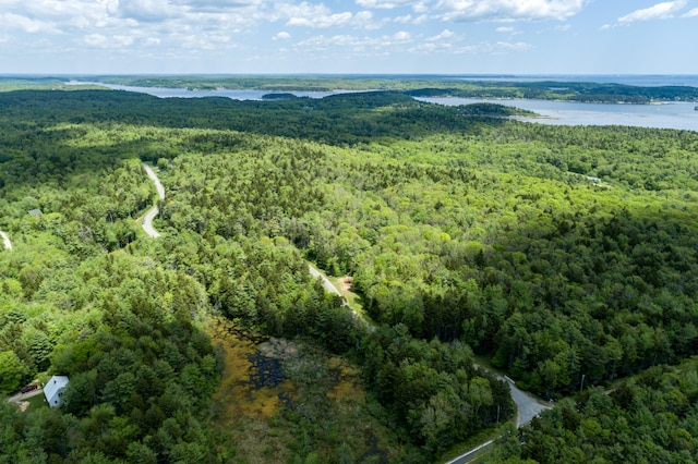 drone / aerial view with a water view and a view of trees