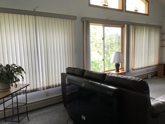 carpeted living room with a baseboard radiator