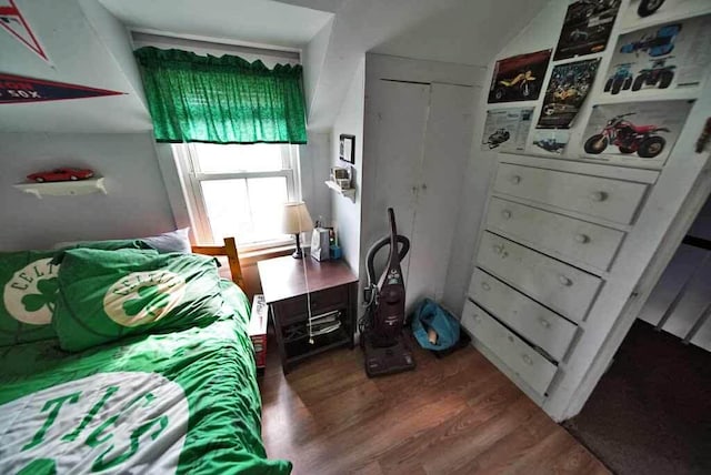 bedroom with a closet and hardwood / wood-style flooring