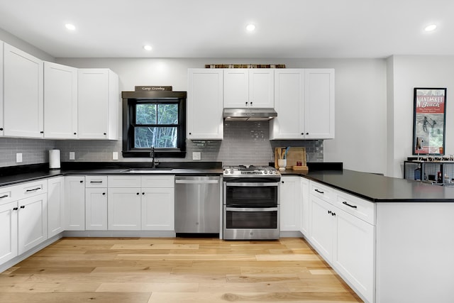 kitchen with stainless steel appliances, dark countertops, a sink, and under cabinet range hood