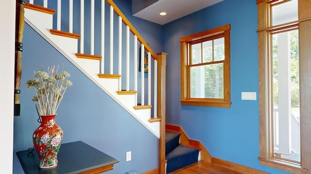 foyer featuring hardwood / wood-style flooring and a wealth of natural light