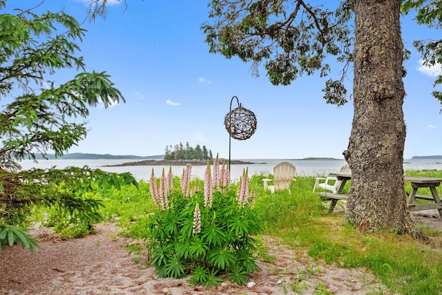 view of yard with a water view