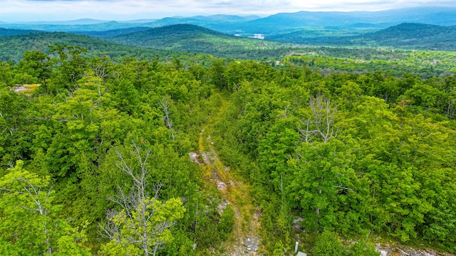 Listing photo 3 for LotB Mine Road, Stoneham ME 04231