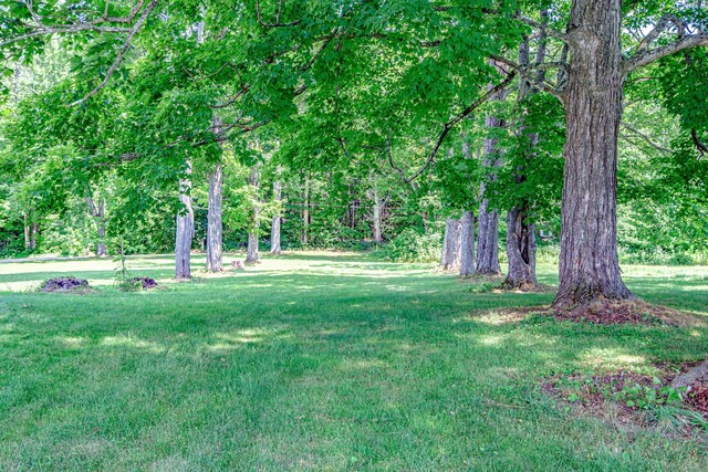 42 Pinkham Ln, Casco, ME 04015 - photo 49