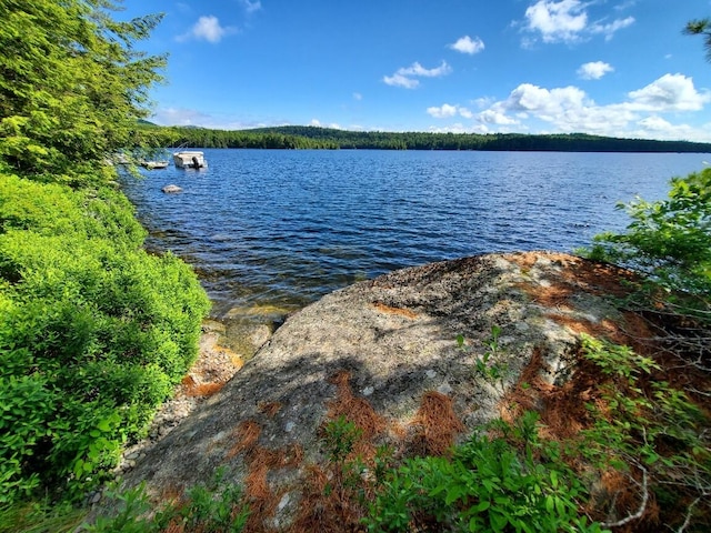 315 Hopkins Pond Rd, Clifton ME, 04428 land for sale