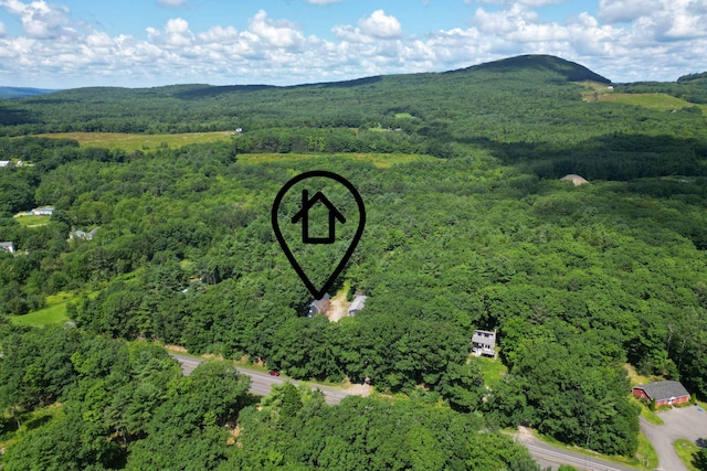 bird's eye view with a mountain view and a forest view
