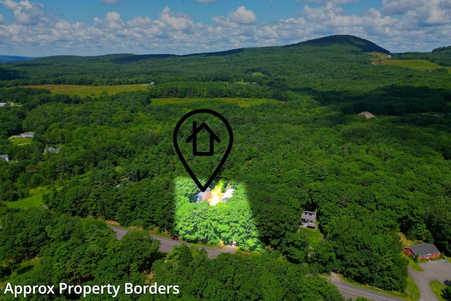 drone / aerial view featuring a wooded view and a mountain view