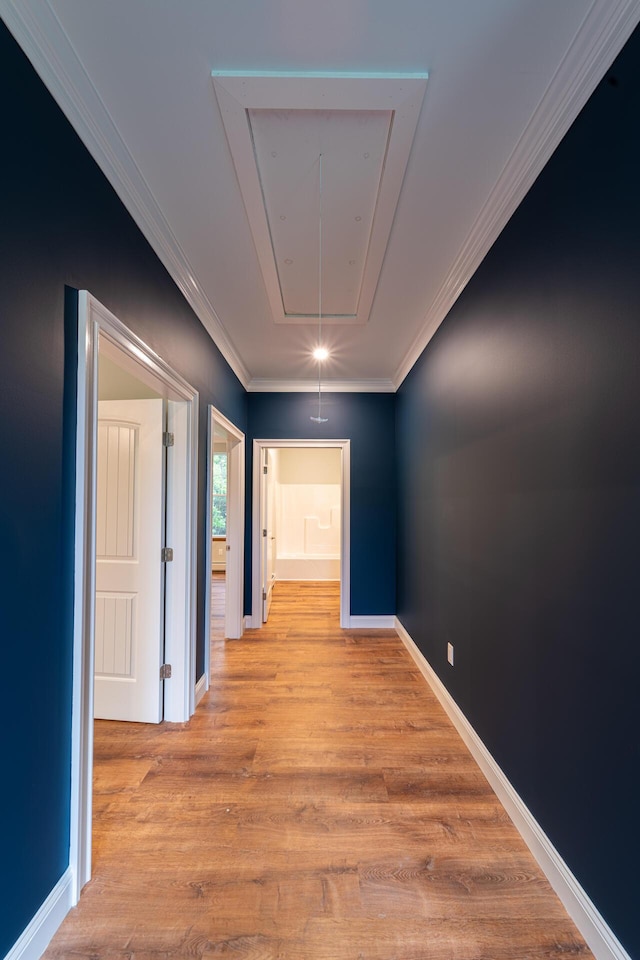 hallway with ornamental molding and light wood-type flooring