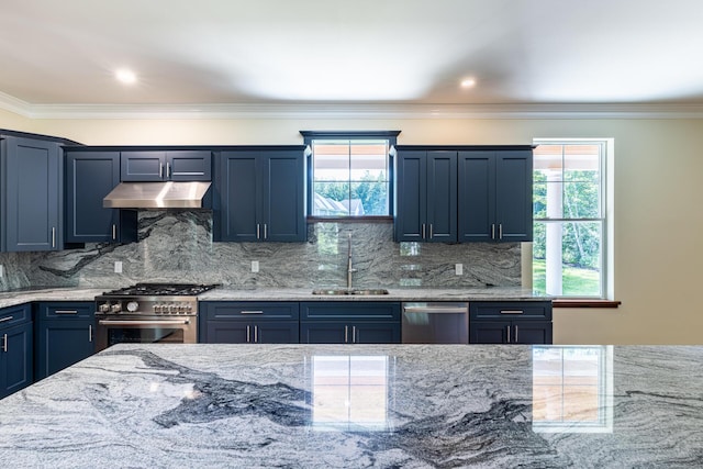 kitchen featuring backsplash, stainless steel appliances, a healthy amount of sunlight, and sink