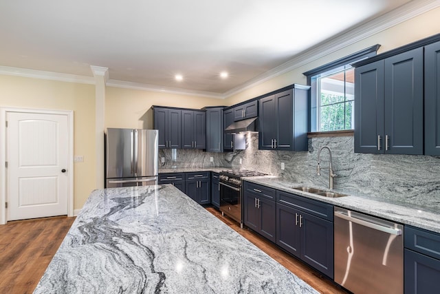 kitchen with sink, decorative backsplash, light stone countertops, dark hardwood / wood-style flooring, and stainless steel appliances