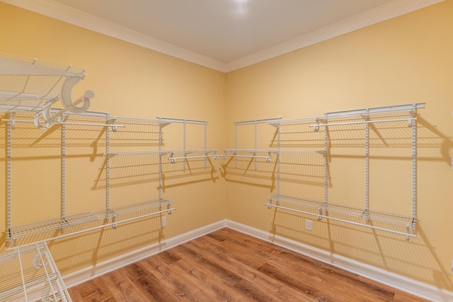 spacious closet with hardwood / wood-style flooring