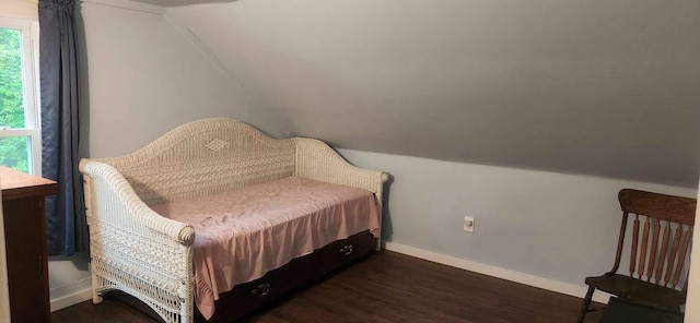 bedroom featuring lofted ceiling, dark wood-type flooring, and multiple windows