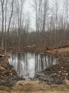 Listing photo 2 for LOT39 Tripptown Rd, Hiram ME 04041