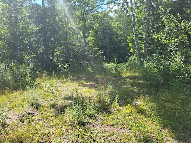 LOT39 Tripptown Rd, Hiram, ME 04041 - photo 4