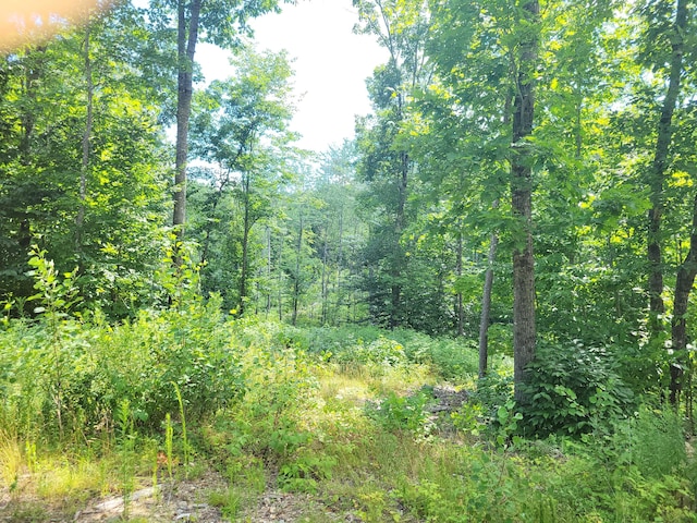 LOT39 Tripptown Rd, Hiram, ME 04041 - photo 5
