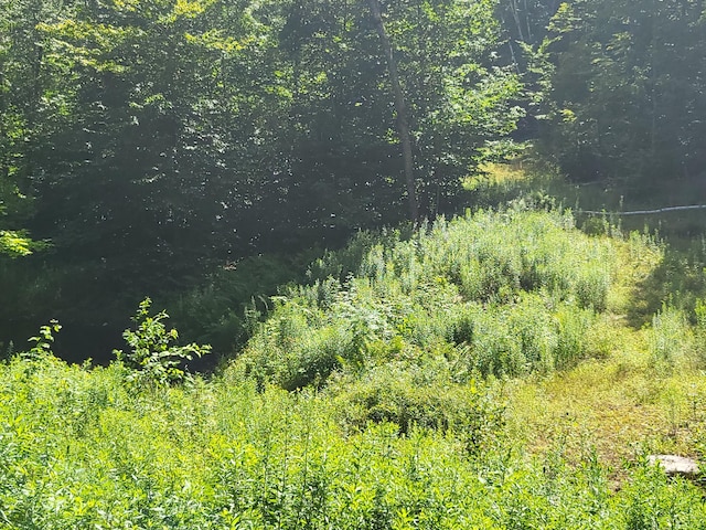 LOT39 Tripptown Rd, Hiram, ME 04041 - photo 7