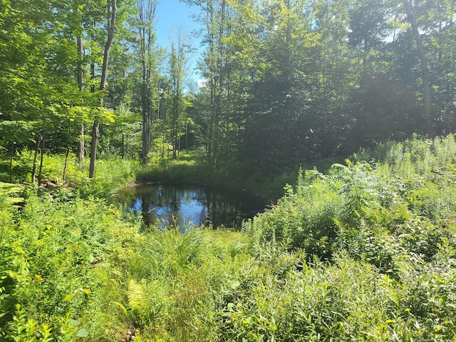 LOT39 Tripptown Rd, Hiram, ME 04041 - photo 1