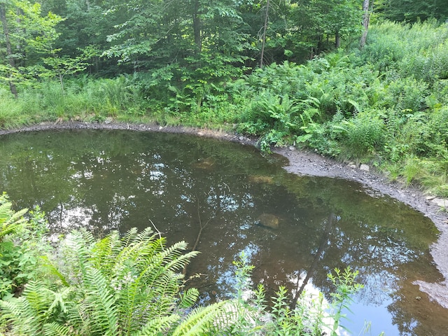 LOT39 Tripptown Rd, Hiram, ME 04041 - photo 8
