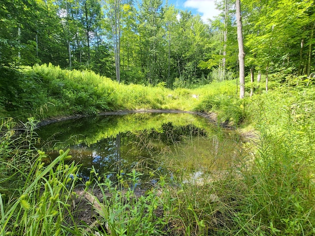 LOT39 Tripptown Rd, Hiram, ME 04041 - photo 11