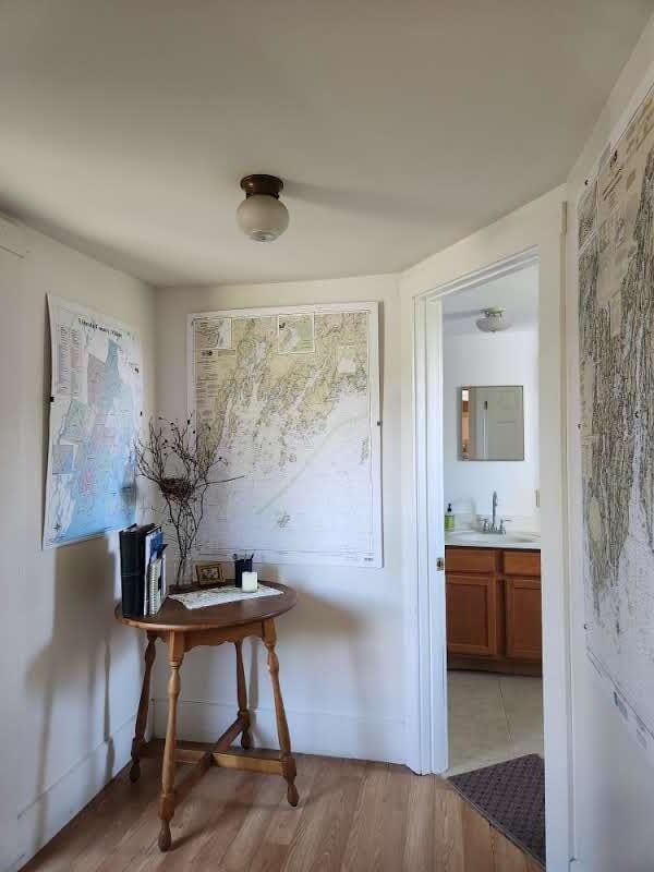 interior space with light hardwood / wood-style floors and sink