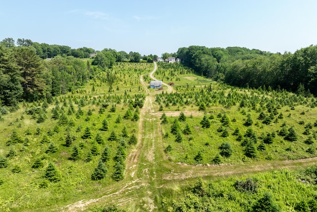 drone / aerial view featuring a rural view