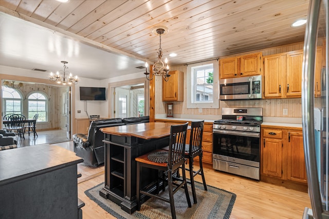 kitchen with stainless steel appliances, a notable chandelier, a wealth of natural light, and light wood-type flooring