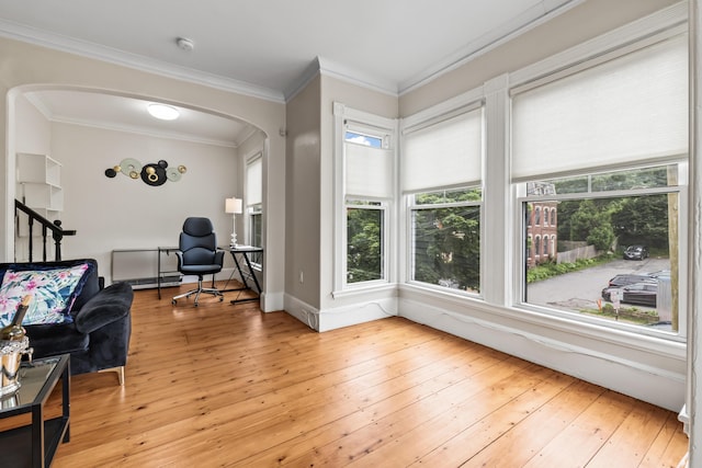 office featuring light wood-type flooring and crown molding