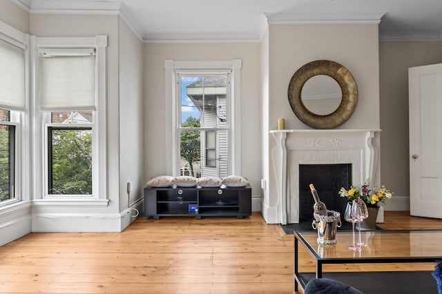 sitting room with a wealth of natural light, hardwood / wood-style floors, and a brick fireplace