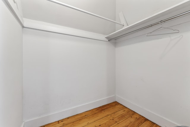 walk in closet with wood-type flooring