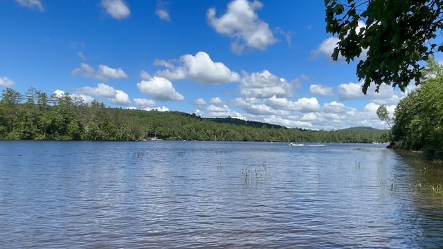 98 Kimball Rd, Harrison, ME 04040 - photo 9