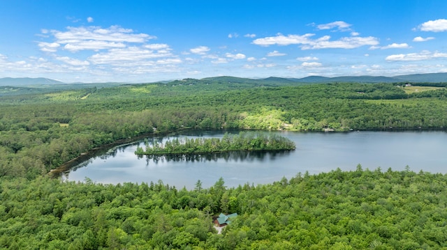 property view of water featuring a mountain view